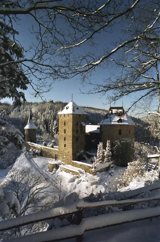 Château enneigé au milieu des arbres en hiver - Séminaire Ardennes - Robert Hôtels