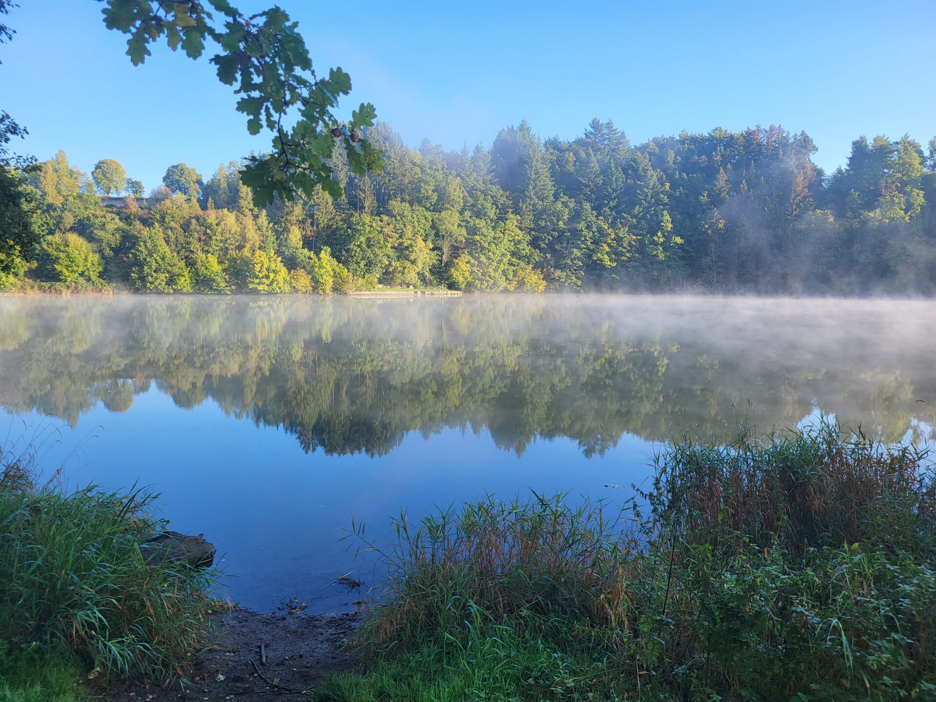 Lac brumeux entouré de forêt verdoyante - Spa Malmedy - Robert Hôtels