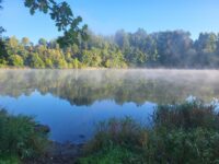 Lac brumeux entouré de forêt verdoyante - Spa Malmedy - Robert Hôtels