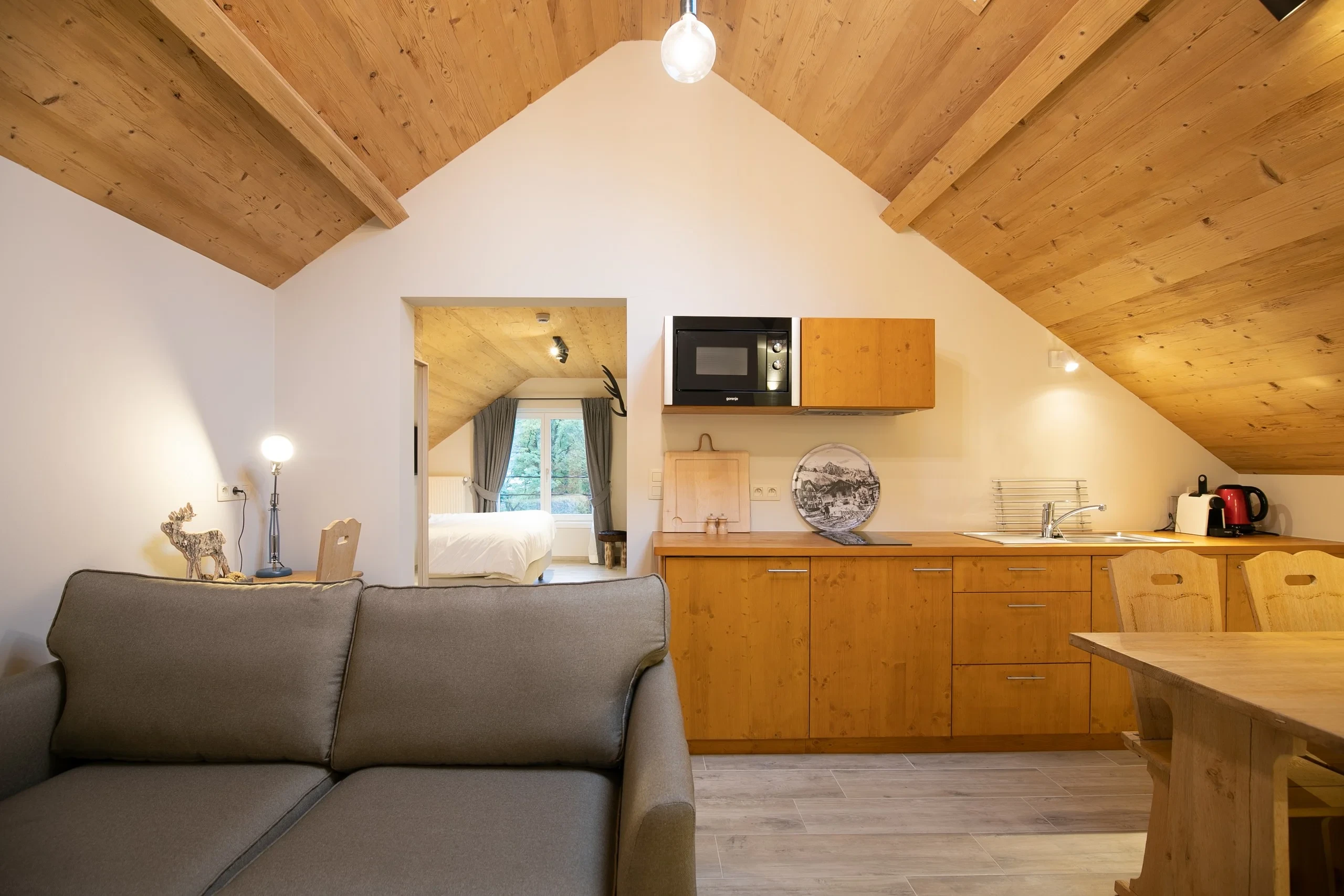 Appartement chalet moderne, cuisine et salon confortables.