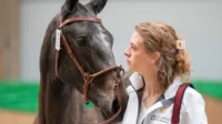 Personne blonde avec cheval gris portant un licol - Ecurie Ardennes - Robert Hôtels