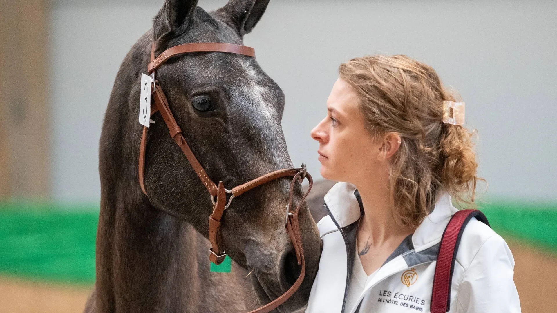 Personne blonde avec cheval gris portant un licol - Ecurie Ardennes - Robert Hôtels