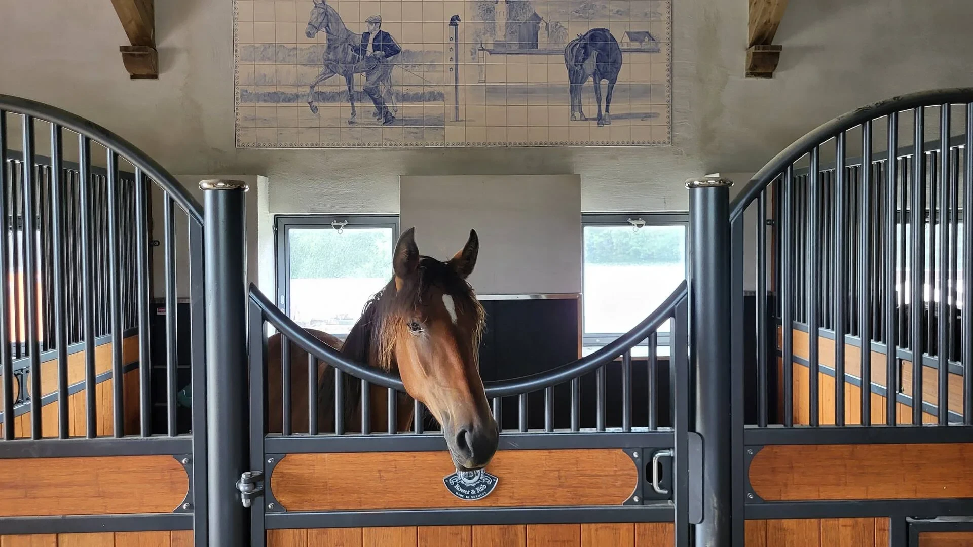Cheval brun regardant à travers un box équestre - Ecurie Ardennes - Robert Hôtels