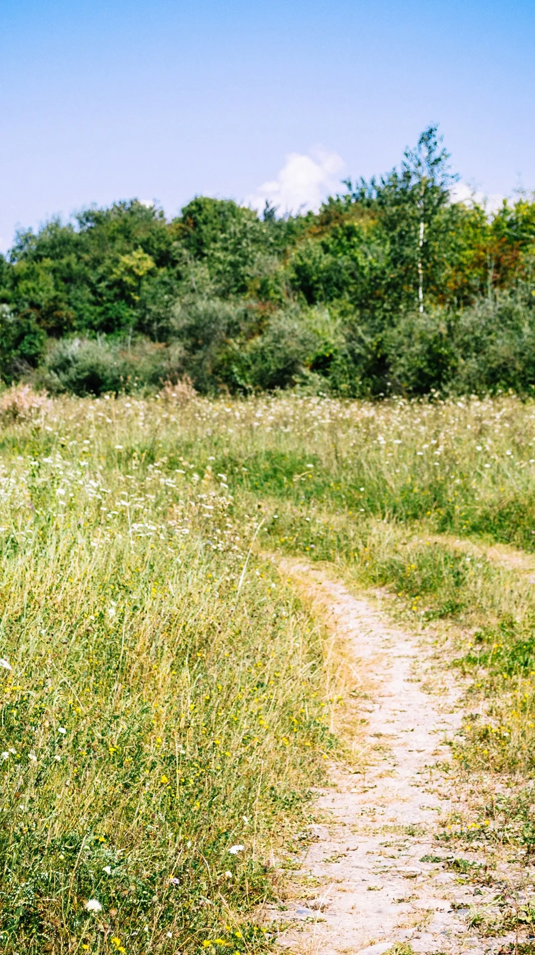 Sentier rural à travers champ fleuri - Séjour Wellness Belgique - Robert Hôtels